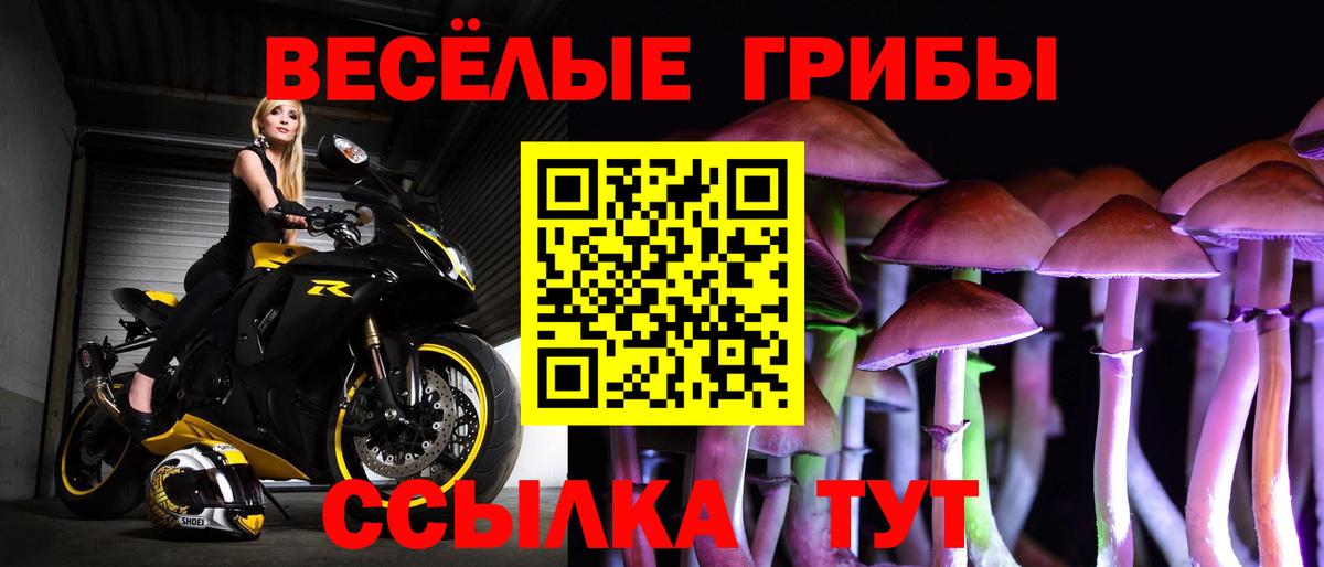 Галлюциногенные грибы GOLDEN TEACHER  Вход с VPN  Алатырь 